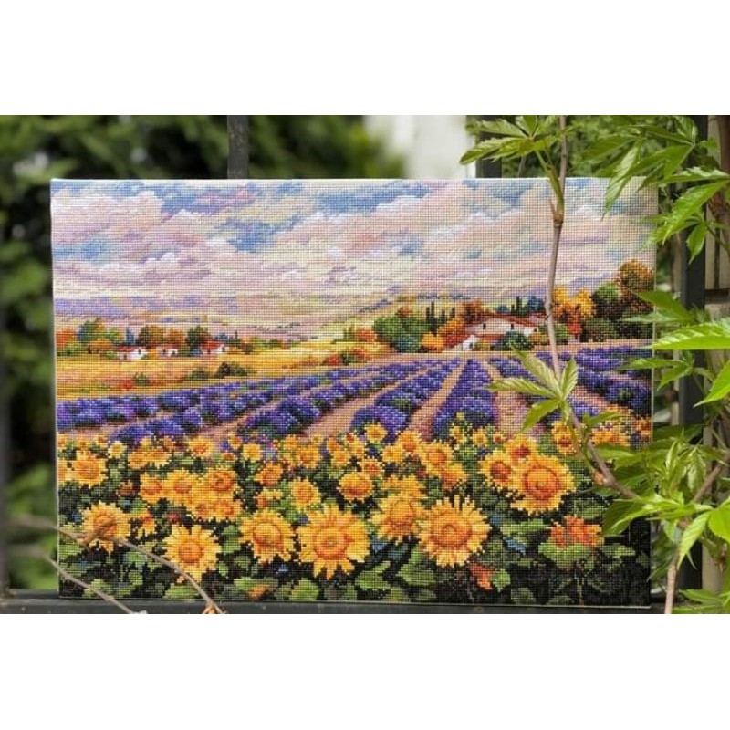 paket kristik padang bunga lavender dan taman bunga matahari daisy