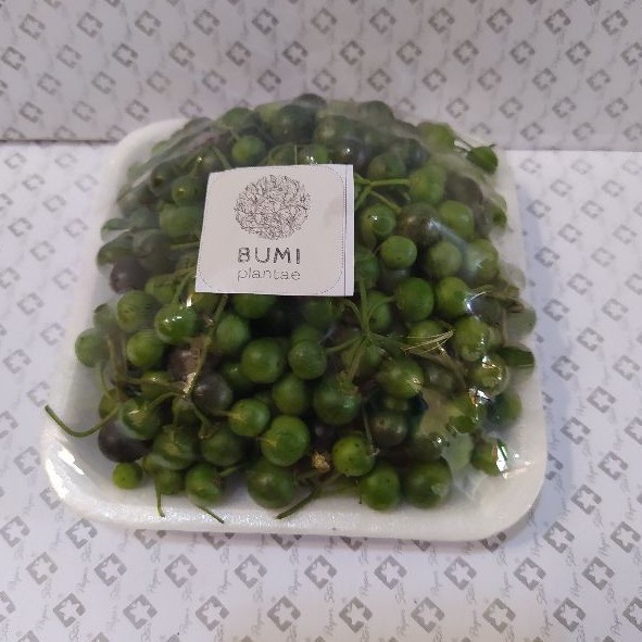 

Sayur Segar Lenca Leunca 200 gram