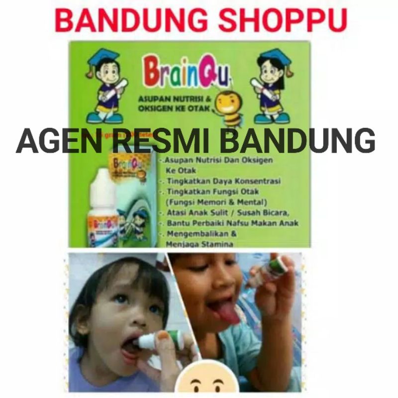 Brainqu nutrisi otak anak bandungshoppu