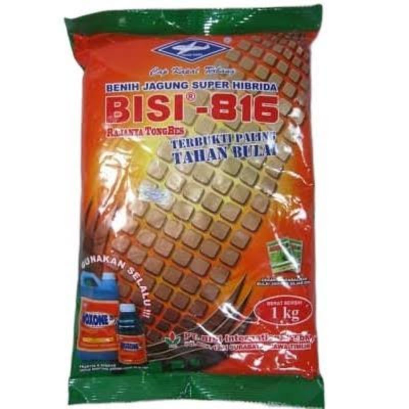 BISI 816