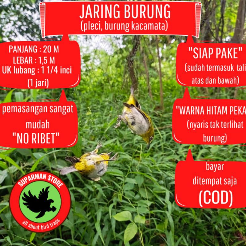 JARING BURUNG PLECI JARING BURUNG KACAMATA JARING BURUNG KECIL JARING PLECI JARING BURUNG PLECI AURI