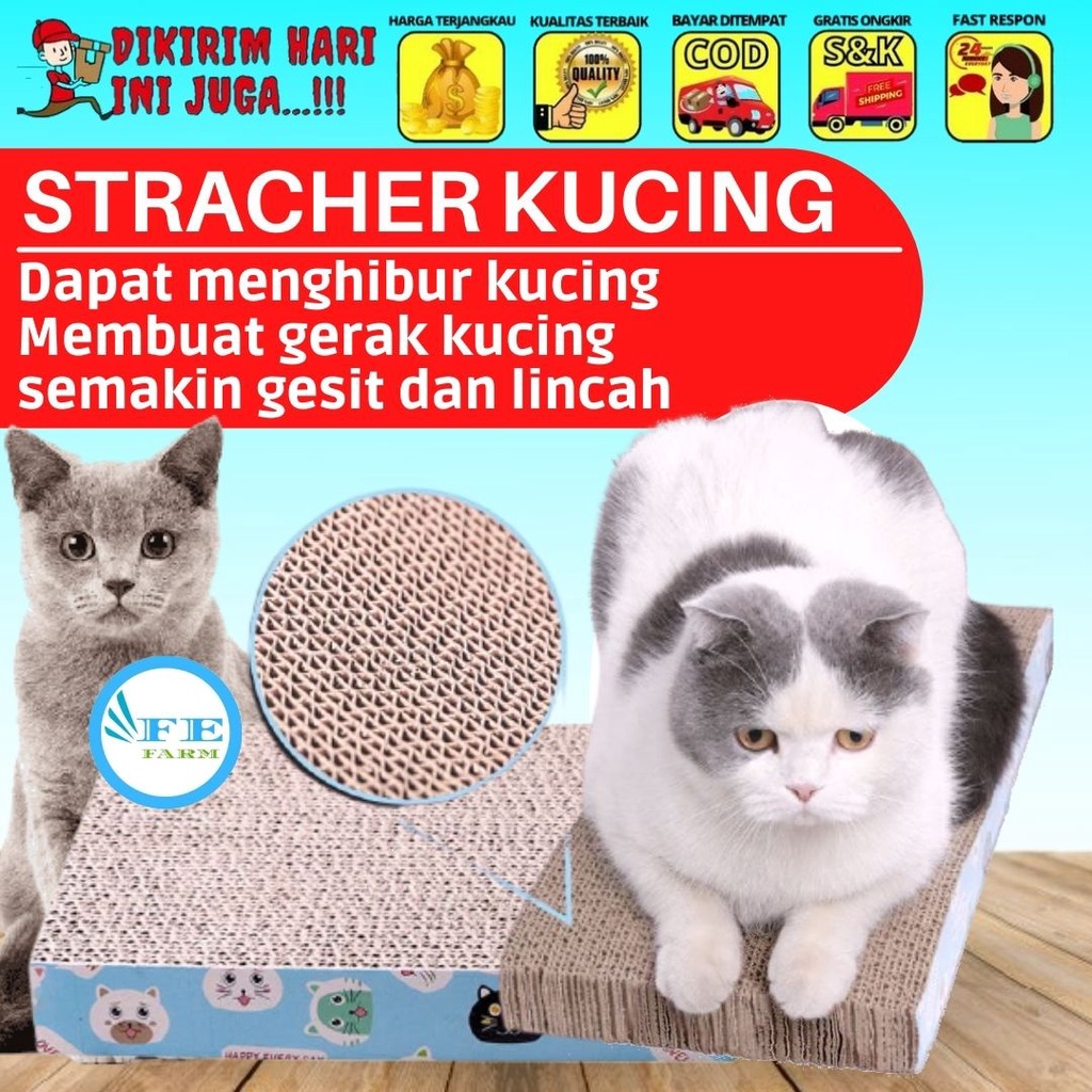 Mainan Garukan Kucing Scratcher Cat Cakaran Kucing Persegi FEFARM