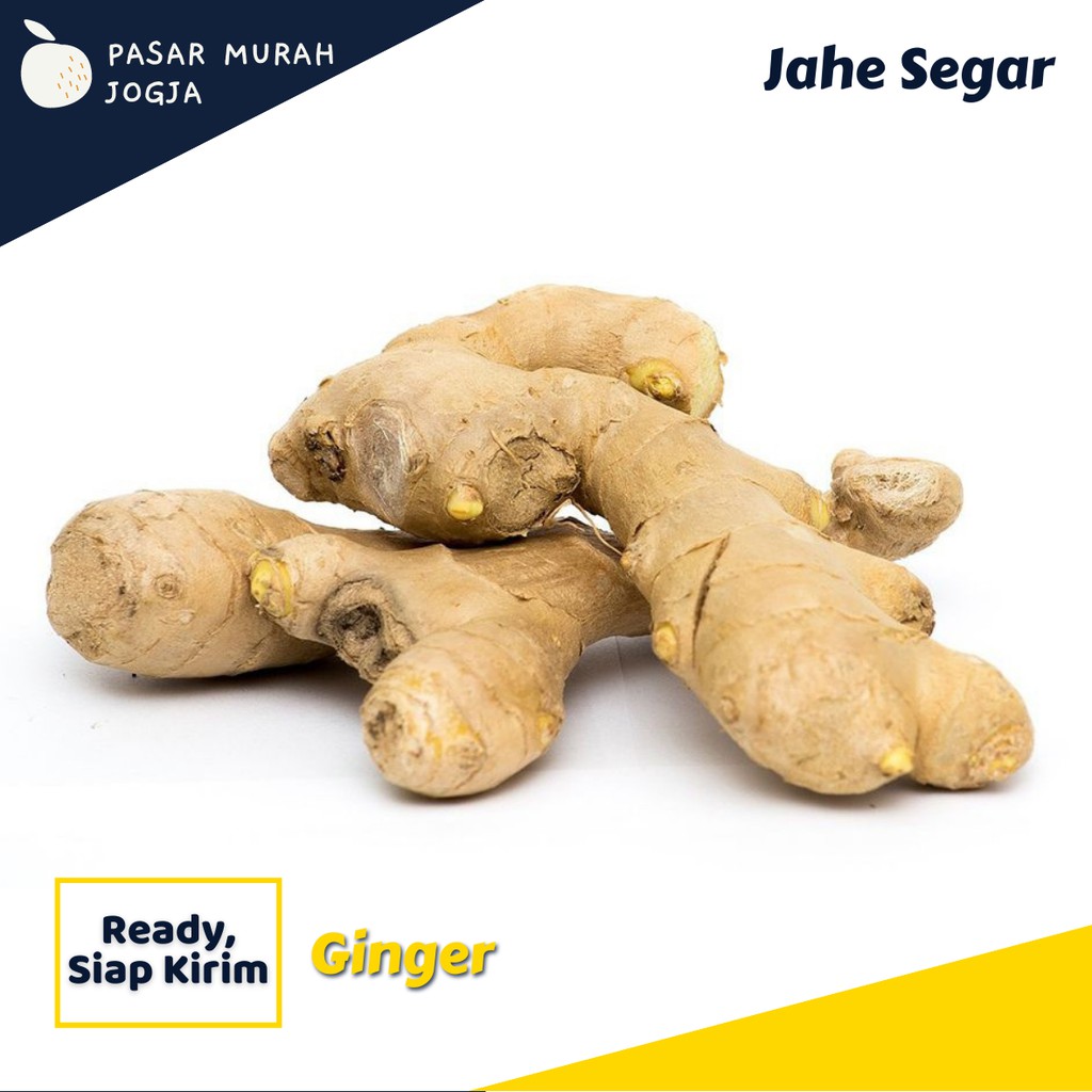 

Jahe 250-500gr Empon Empon Bumbu Dapur Segar Pasar Murah Jogja