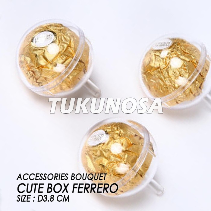 

CUTE BOX FERRERO [10 PCS] CHOCOLATE BOUQUET ACRYLIC BALL BOLA AKRILIK BUKET COKLAT WADAH COKLAT Ferrero Rocher