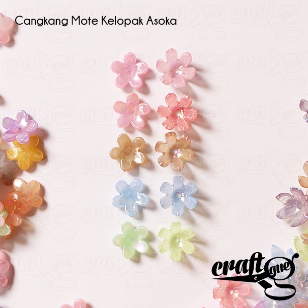 Cangkang Mote Kelopak Asoka