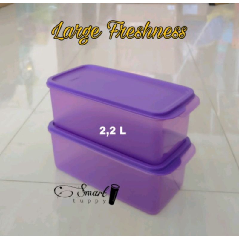freshness 2.2 liter tupperware