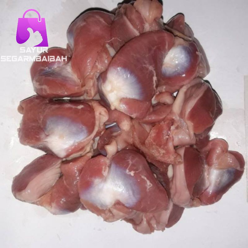 

ampela ayam segar 500 gram