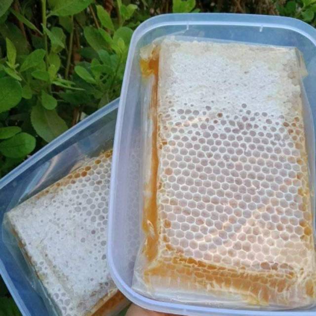 

Madu Sarang