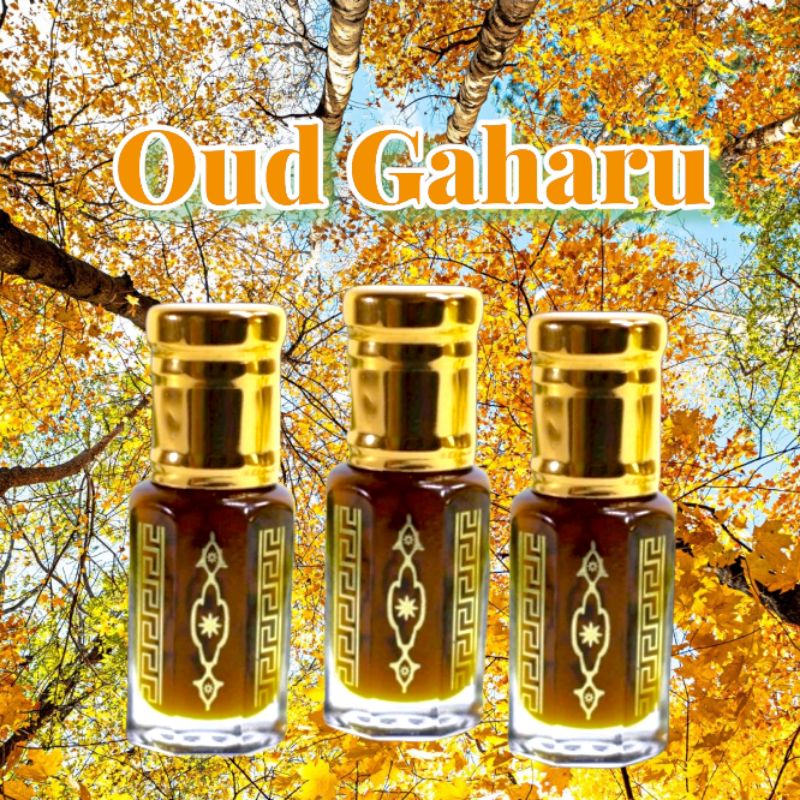 Oud Gaharu Gahru Agar wood