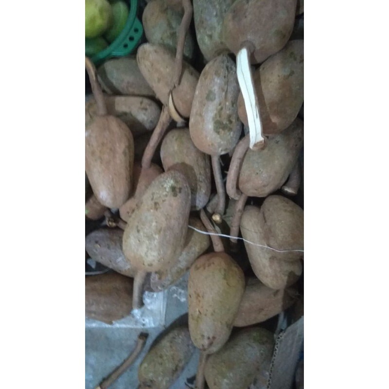 

buah mahoni segar 1kg