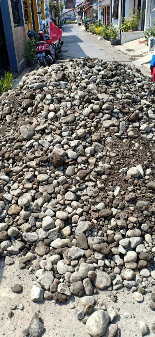 Umpan Perangkap Tikus Paling Mematikan Ramtus Temanggung