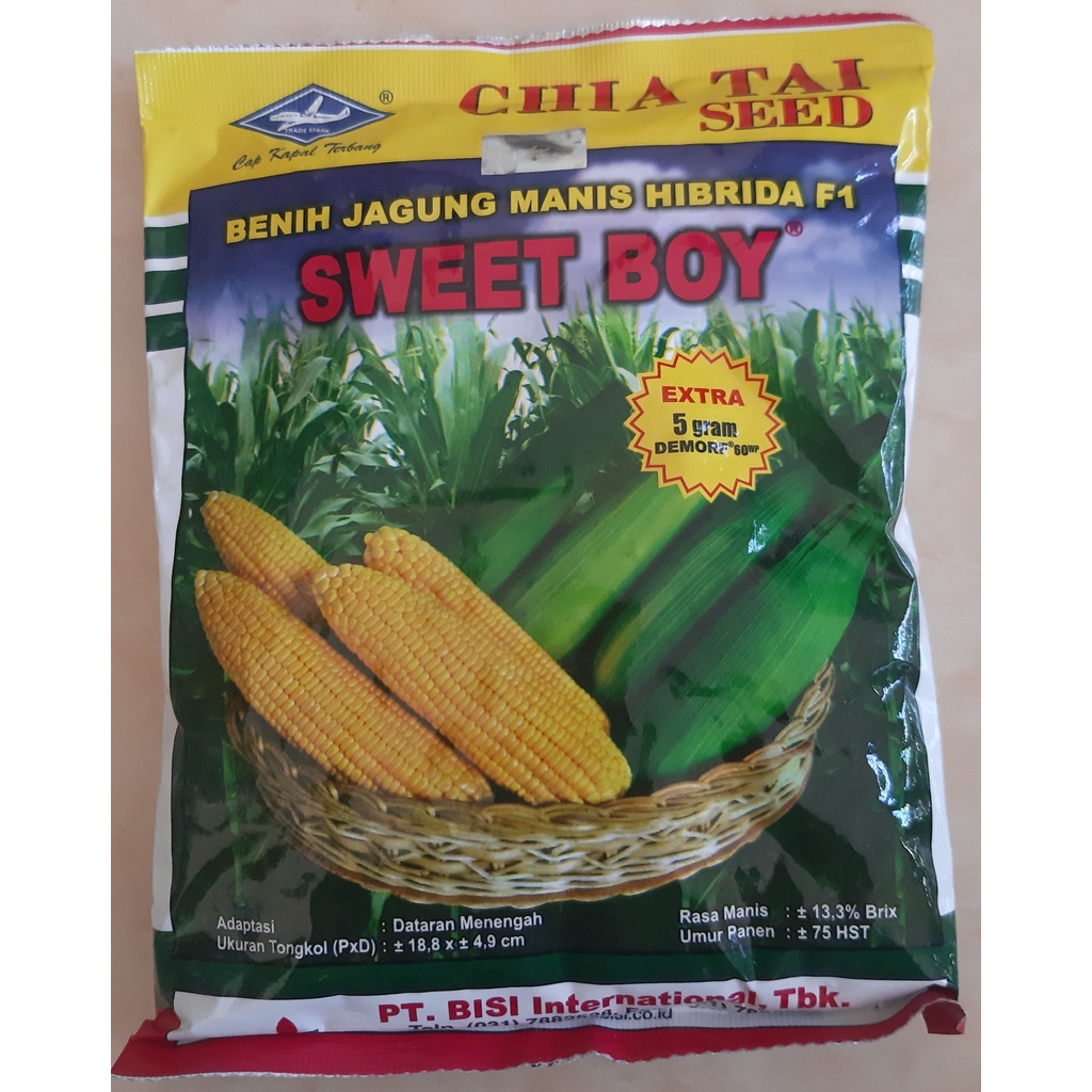 Benih jagung manis SWEET BOY