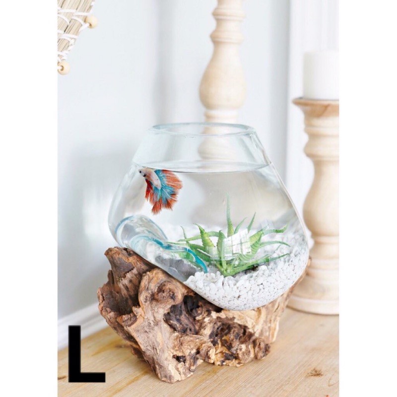 aquarium cupang unik kaca tiup