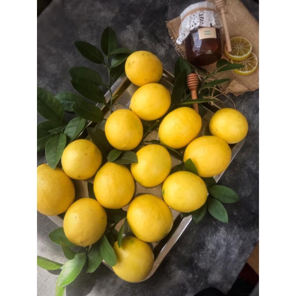 

lemon ccisangkuy