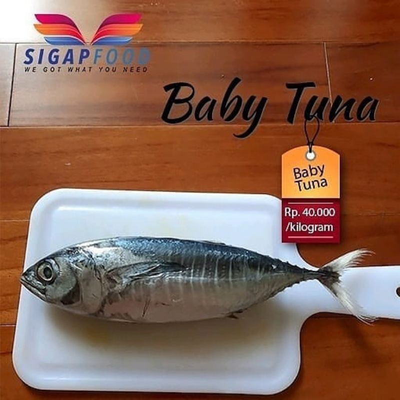

BABY TUNA FRESH 1KG