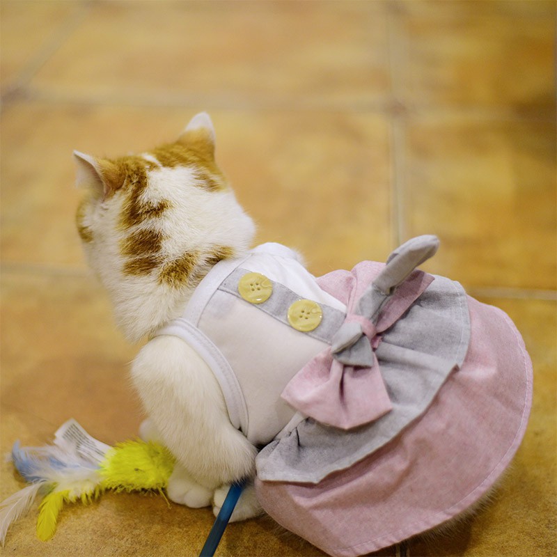 Dress Princess Cantik Untuk Anjing Kucing Shopee Indonesia