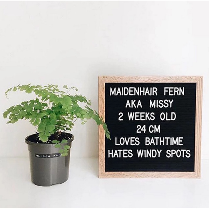 Letter Board / Papan Nama Bayi / Felt Letter Board / Papan Tulis Custom