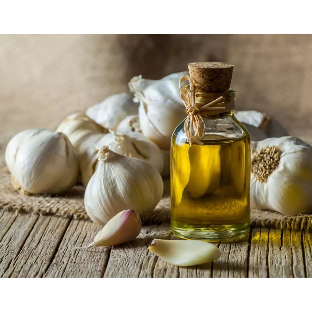 Garlic Essential Oil Minyak Atsiri Bawang Putih Allium Sativum