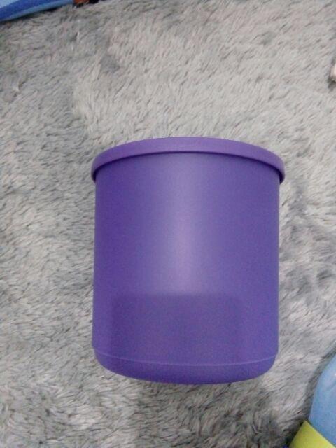 Summer Go Round Large (1pcs) Toples Tpwr