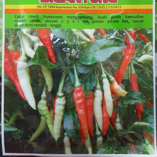 Benih Cabe rawit sigantung, kemasan repack