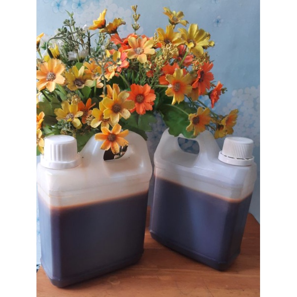 

madu hutan murni 1 kg