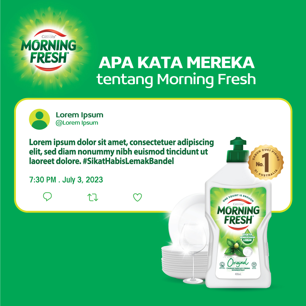 Morning Fresh Dish Wash Liquid - Sabun Cuci Piring 400ml