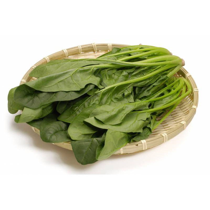 Biji Benih Bibit Tanaman Sayuran Bayam Jepang Repack Super Altire Takii Seed Bisa Untuk Hidroponik dan Konvensional-2