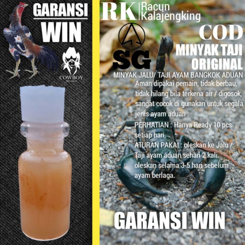 sabung ayam Bangkok aduan petarung RACUN JALU KALAJENGKING Pama Birma pakhoy shamo Bangkok klasik