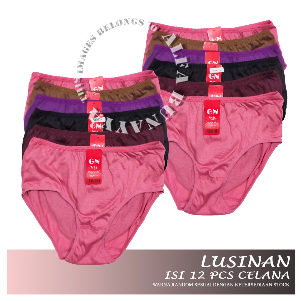 GOLDEN NICK 1 Lusin (12 Pcs) Celana Dalam CD Wanita Golden Nick - GN939 - Warna Bold - Muda - Pakaian Dalam Berkualitas