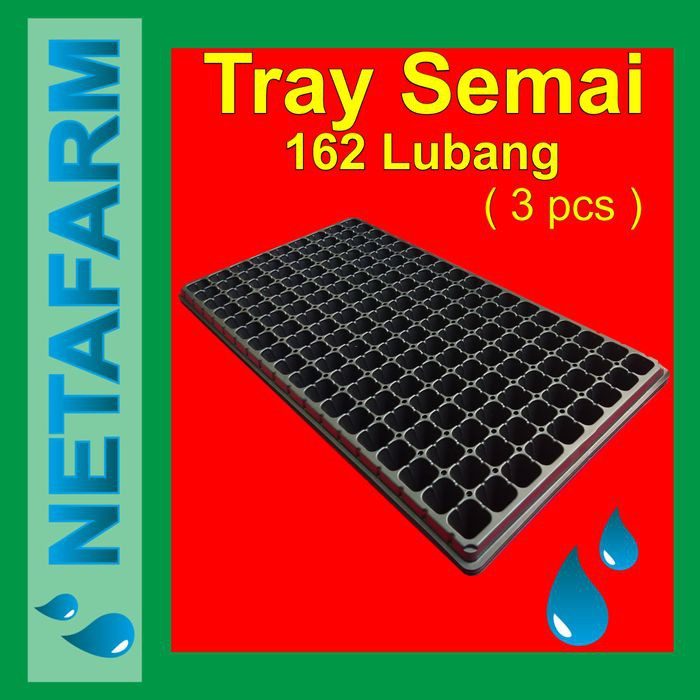 Tray Semai 162 Lubang Traypot Pot Bibit Hidroponik (Set 3pcs)