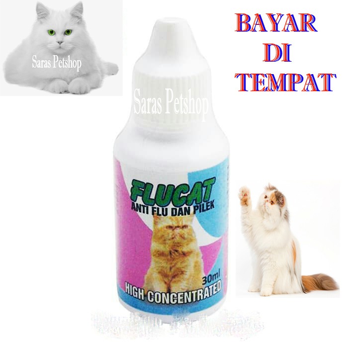 obat flu kucing filek bersin flucat