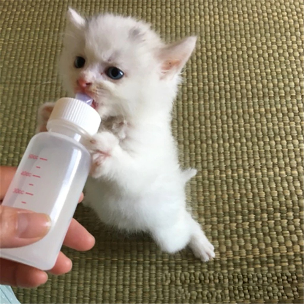 Dot Corong Nipple Kecil Bayi Kucing Anjing Kelinci Hewan Baru Lahir FEFARM