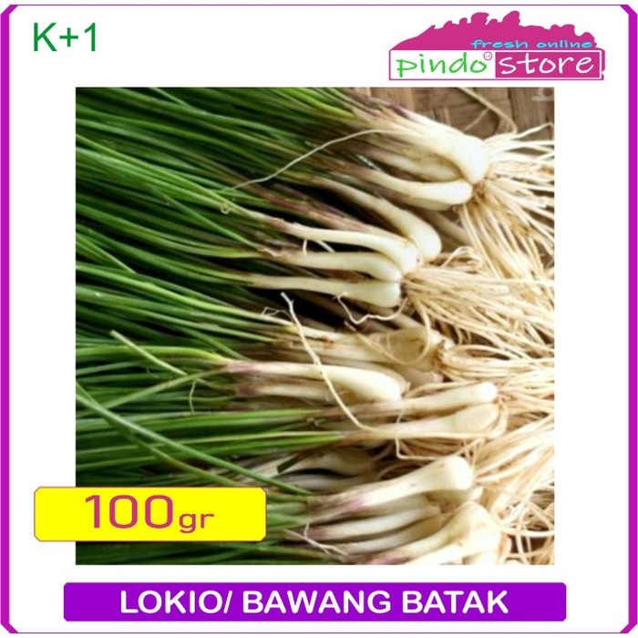 

LOKIO SEGAR / BAWANG BATAK / HOSAYA