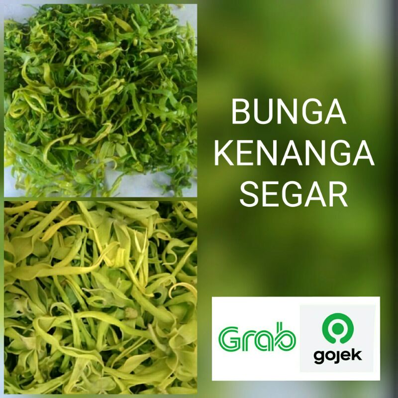 bunga kenanga paket hemat