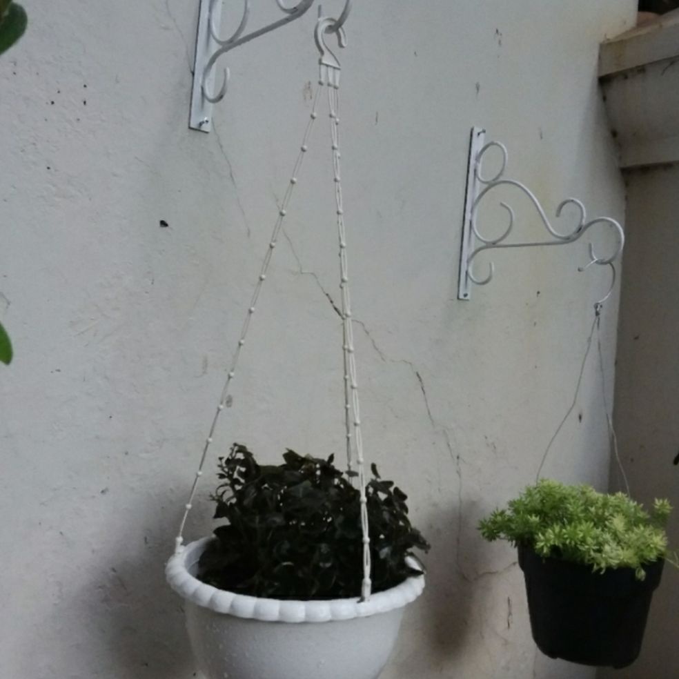 RAK POT / GANTUNGAN POT BUNGA BESI/RAK BUNGA BESI TEMPEL/RAK DINDING HIAS/GANTUNGAN RAK BUNGA