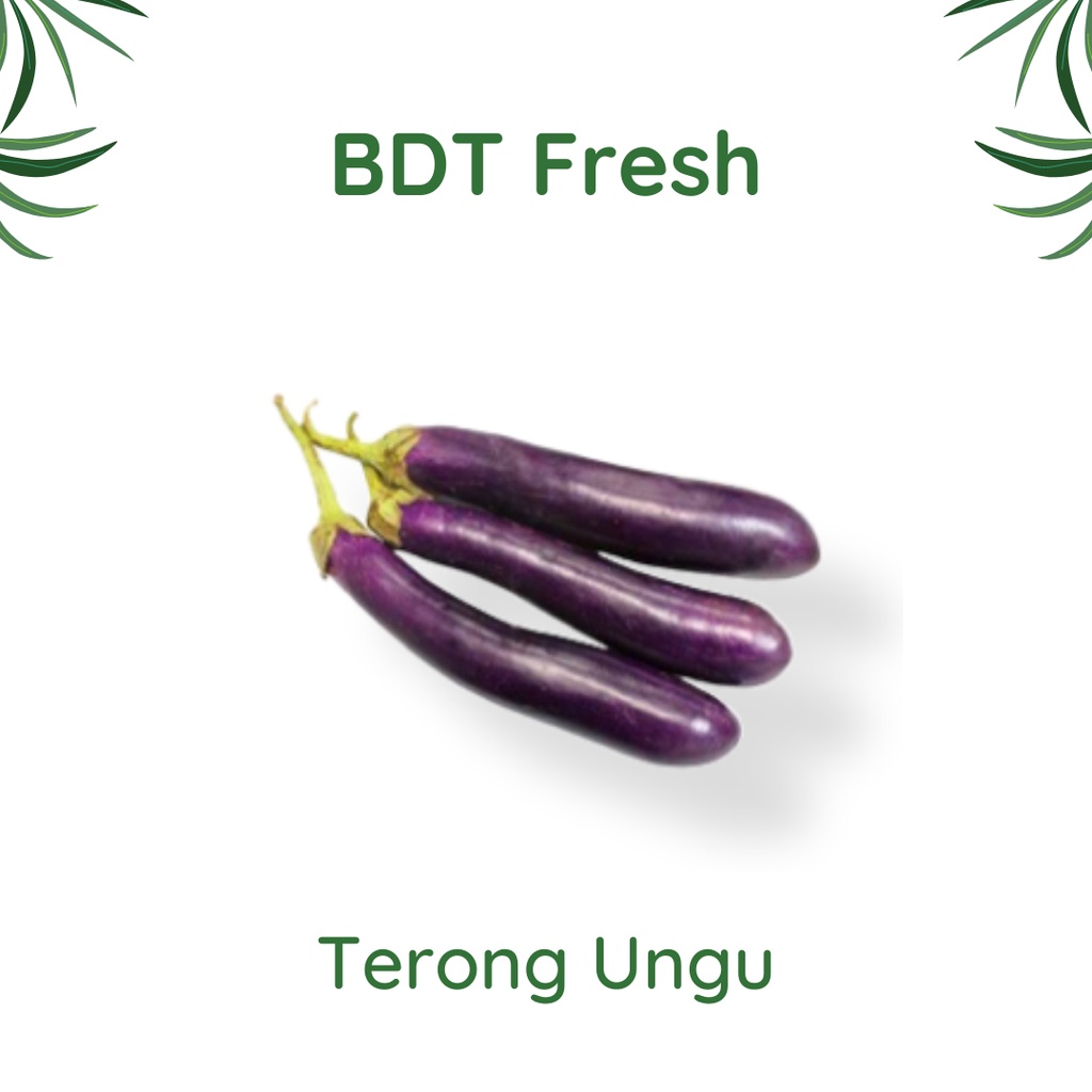 

Terong Ungu 500g