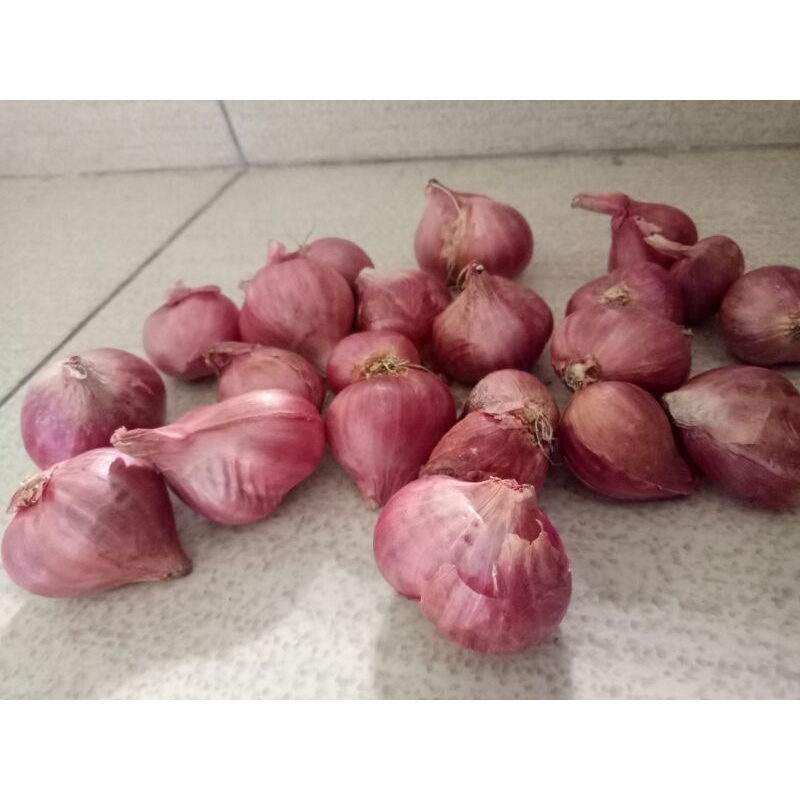 

bawang merah besar sedang 500G