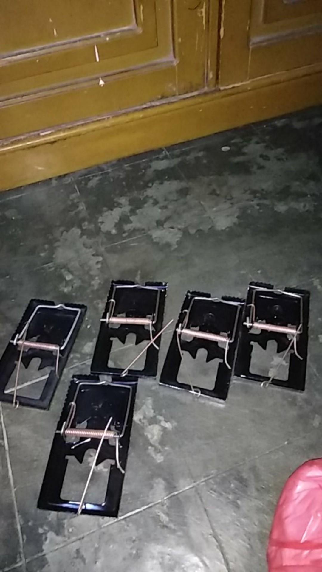 Perangkap Tikus Manual