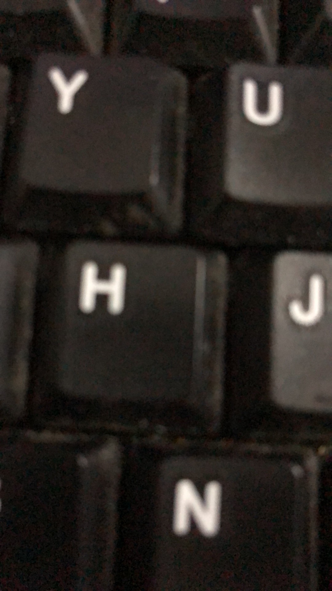 Biji Benih Bibit Kaktus Besar