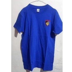 Kaos biru polair