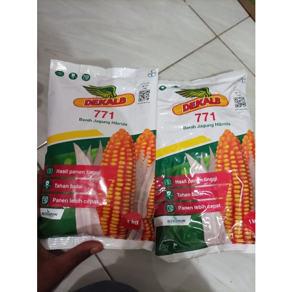 Benih Jagung Hibrida DK 771