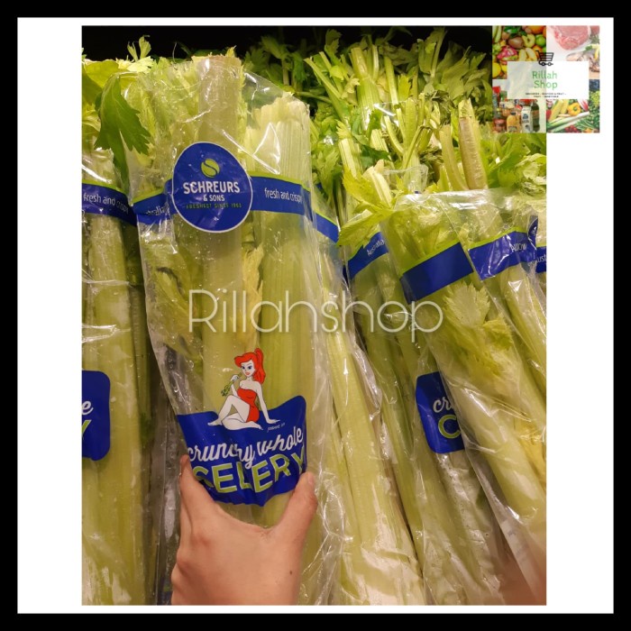 

CELERY STICK IMPORT/ SELEDRI STIK 500 GRAM