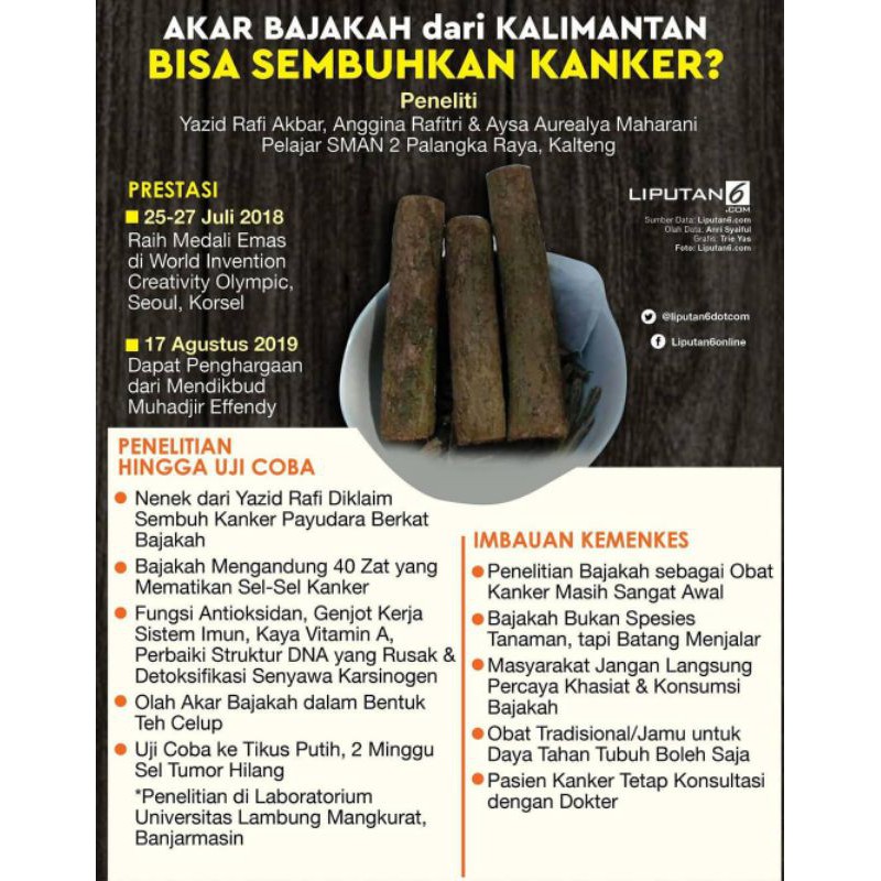 

KAYU BAJAKAH ASLI KALIMANTAN SUKU DAYAK AKAR BAJAKAH ORIGINAL 100% ORIGINAL KEMASAN 250 GRAM