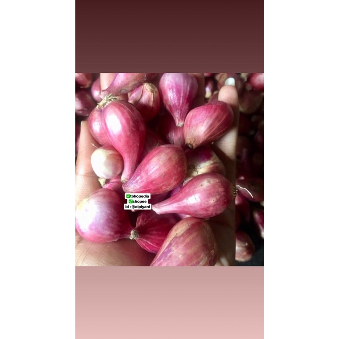 

Bawang merah sedang 1kg