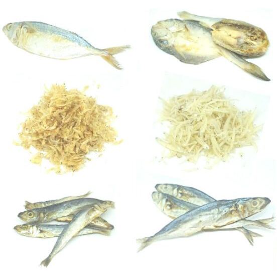 

ANEKA IKAN ASIN / TERI PUTIH / GRAGO / PEDO / KLOTOK / GLOMO / IKAN ASIN SEGAR