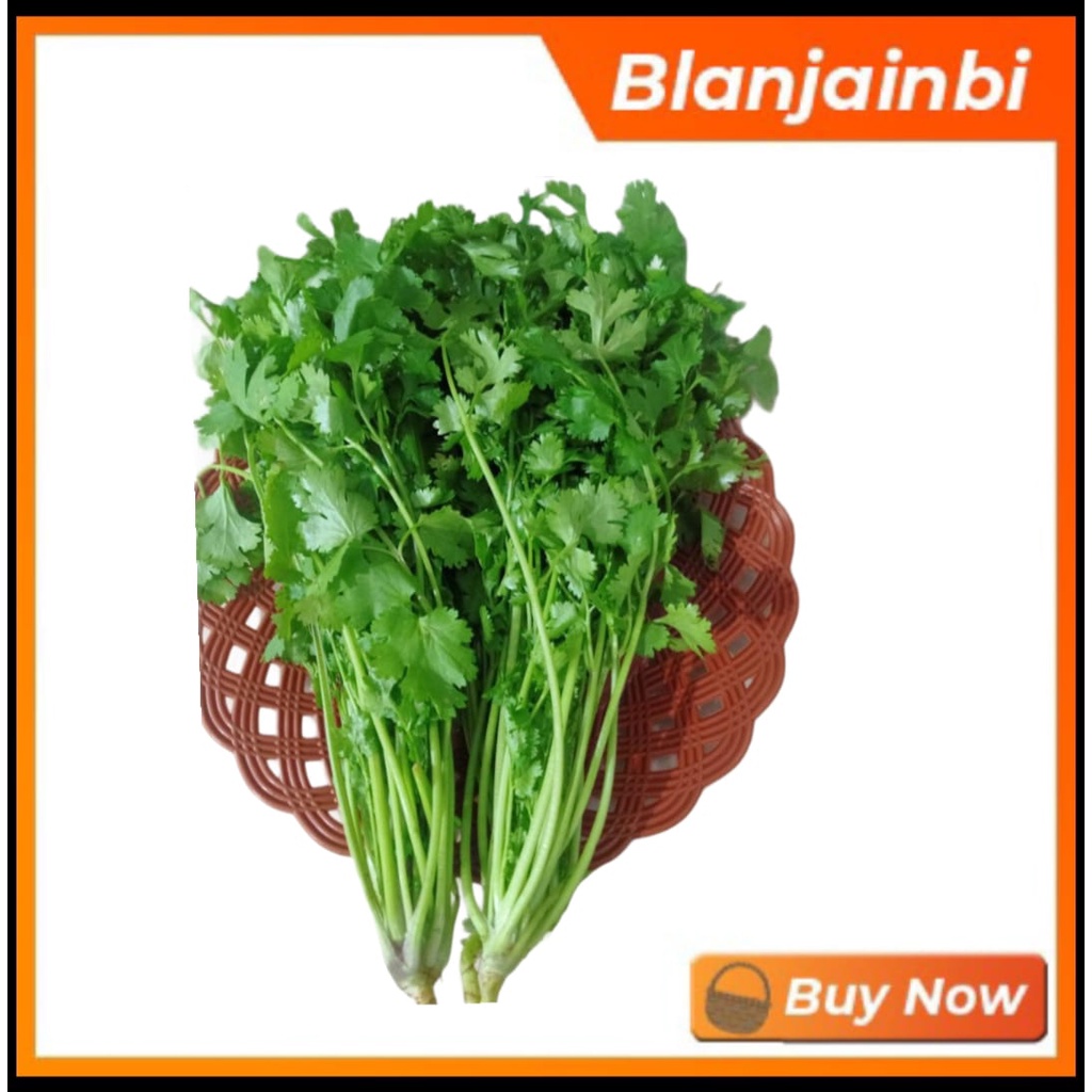 

Daun ketumbar Bandung Area