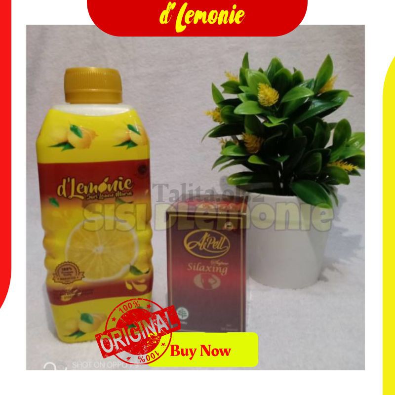 PAKET PELANGSING APEL SUPER D'LEMONIE HERBAL DIET