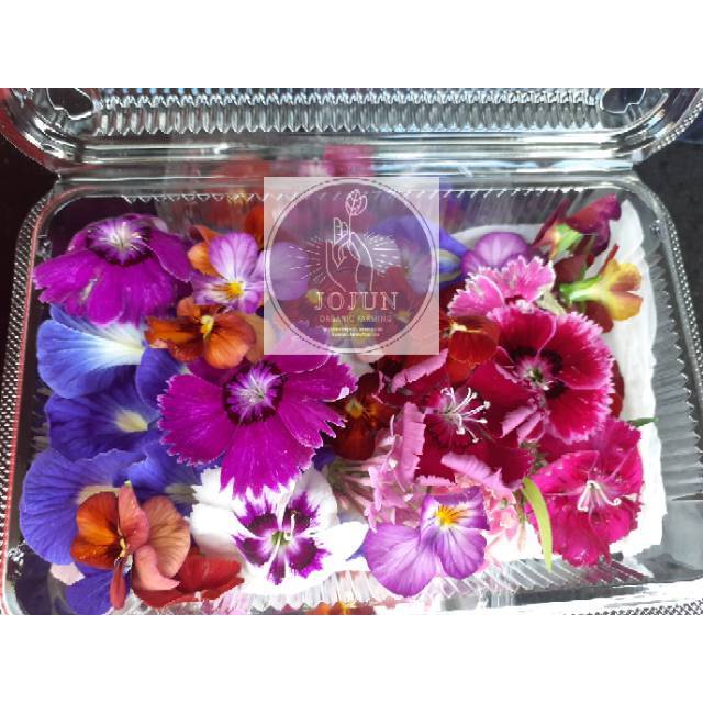 

PROMO MURAH EDIBLE FLOWERS