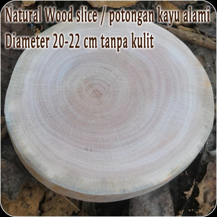 Potongan kayu alami natural wood slice talenan kayu hiasan dinding