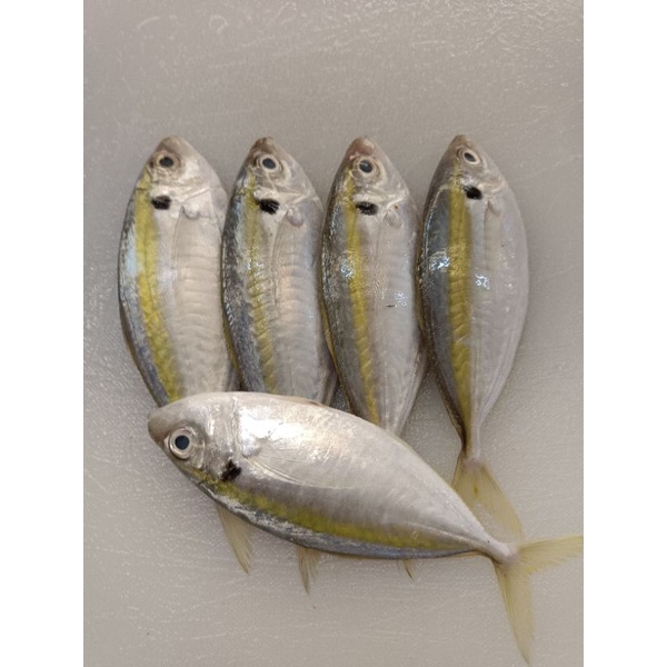 

Ikan selar segar 1kg